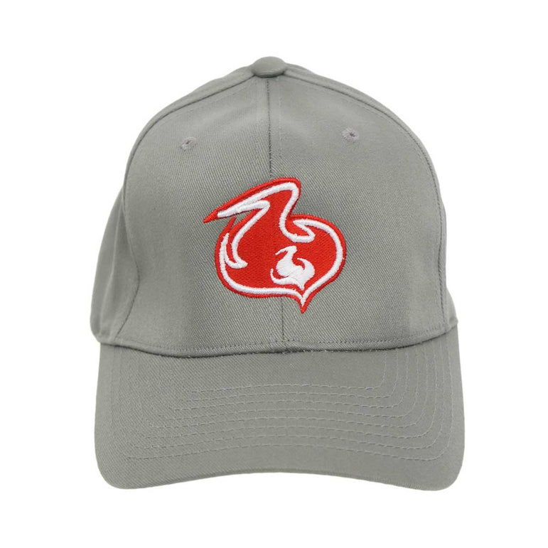 Shuvit Flame Logo Hat- Grey