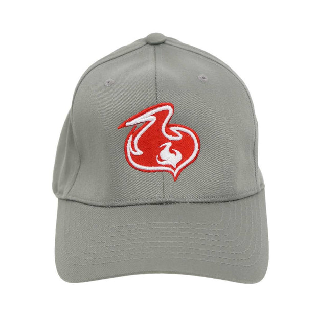Shuvit Flame Logo Hat- Grey