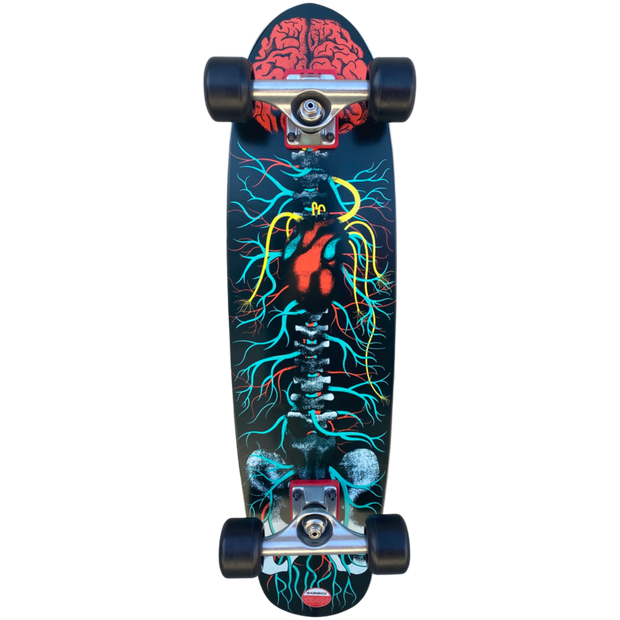 SALE Riviera Anatomy of a skateboard Cruiser Complete - 8"x30"
